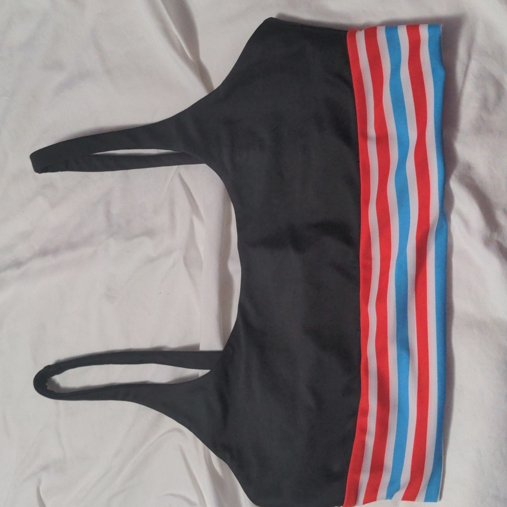 Beach Riot bikini or sports bra top